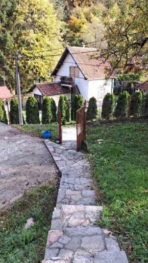 Vila Raj